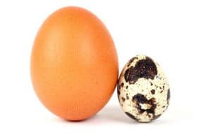Alergia al huevo de gallina
